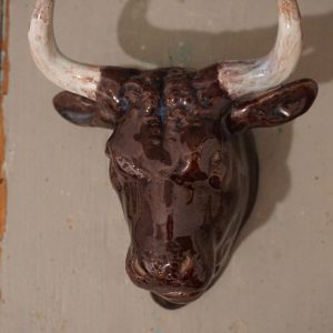 Bull head