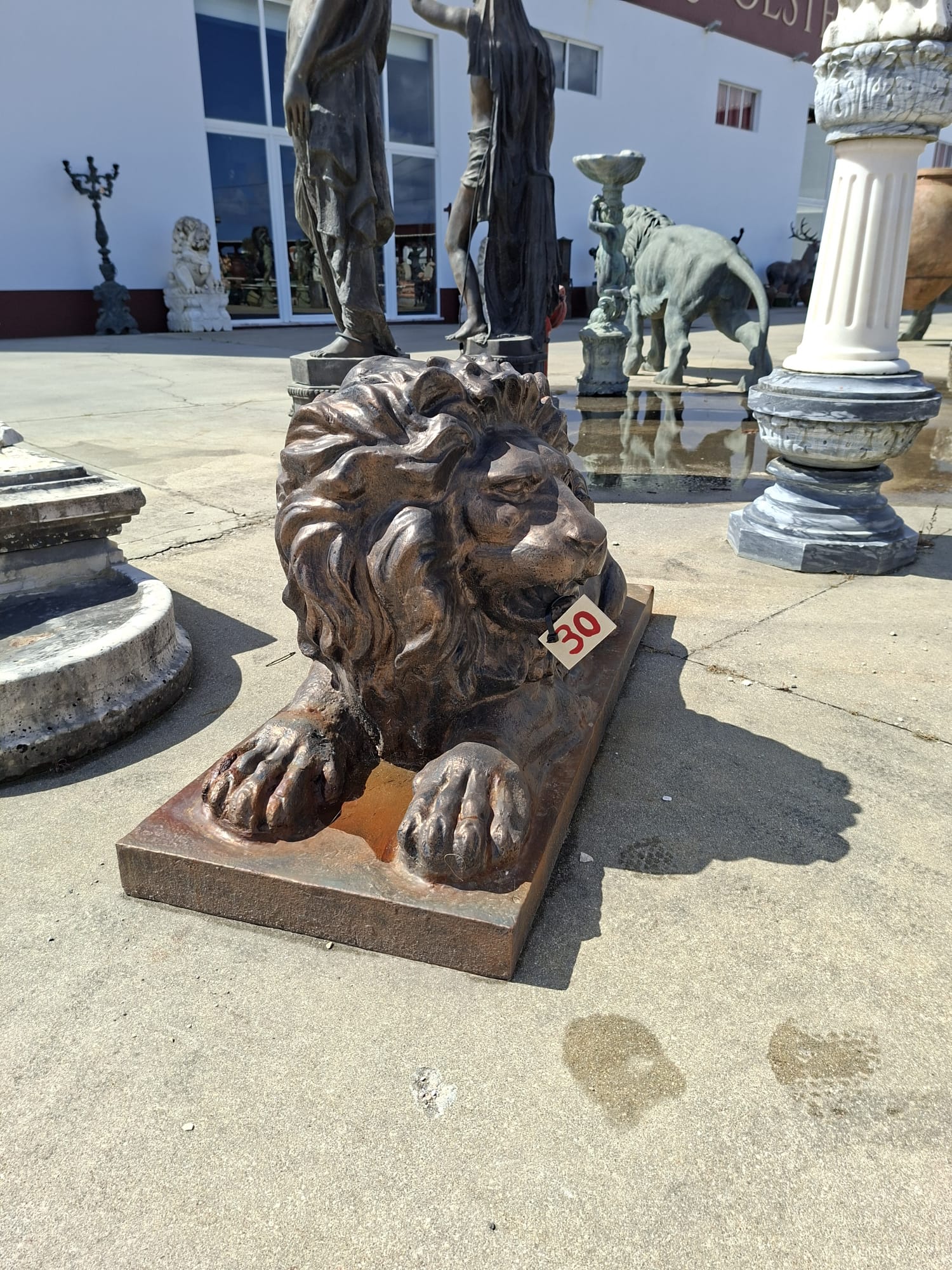 Pair of lions