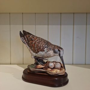 Woodcock
